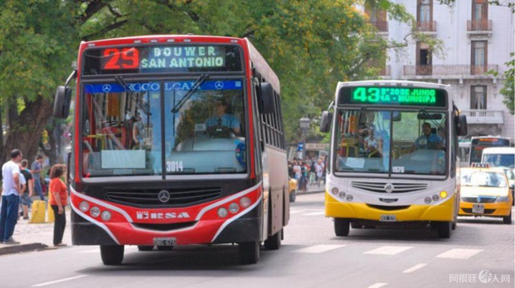 colectivos-uta