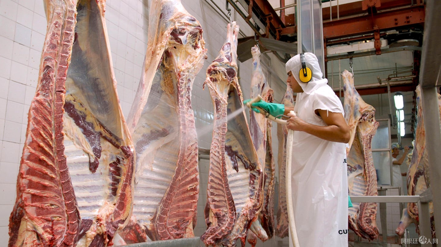 las-exportaciones-de-carne-bovina-refrigerada-y-congelada-han-aumentado-un-15-en-los-primeros-10-meses-del-ano-generando-cerca-de-us2500-millones-segun-informo-el-consorcio-de-exportadores-de-carnes-argentinas-abc-XGH4WLJSSRE4TMDFUKCND4P72I