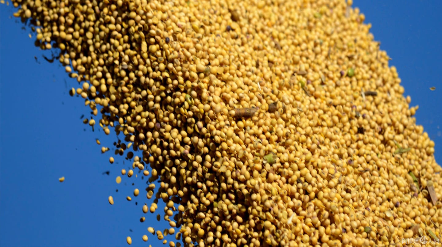 -dolar-oficial-hoy-y-dolar-blue-a-cuanto-cotizaron-este-viernes-28-de-noviembre-5GCCWOOEXFFM3MTP7NBW2GXIUI